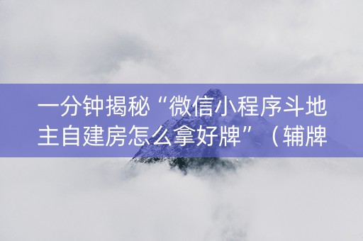 一分钟揭秘“微信小程序斗地主自建房怎么拿好牌”（辅牌器插件购买)