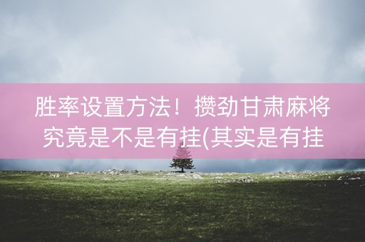胜率设置方法！攒劲甘肃麻将究竟是不是有挂(其实是有挂确实有挂)