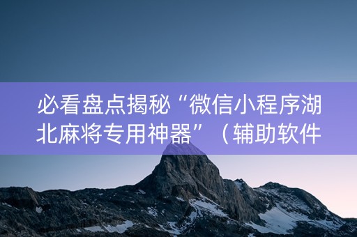必看盘点揭秘“微信小程序湖北麻将专用神器”（辅助软件)