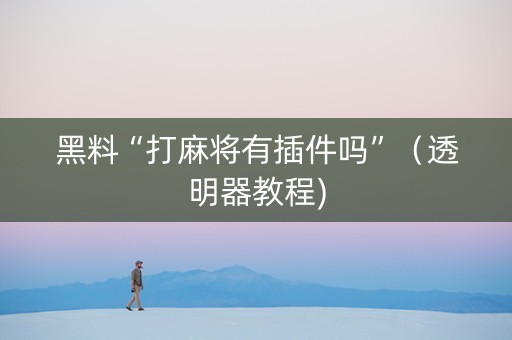 黑料“打麻将有插件吗”（透明器教程)