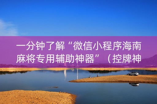 一分钟了解“微信小程序海南麻将专用辅助神器”（控牌神器)