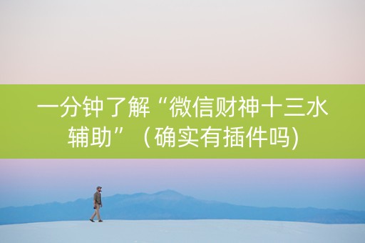 一分钟了解“微信财神十三水辅助”（确实有插件吗)