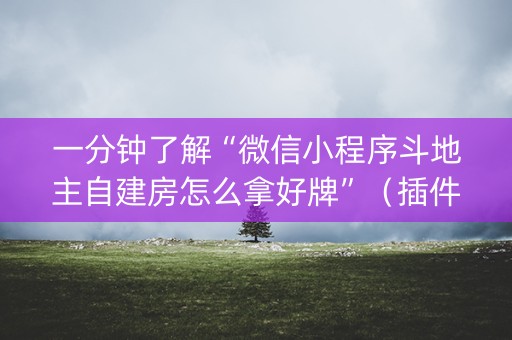 一分钟了解“微信小程序斗地主自建房怎么拿好牌”（插件开挂免费AI)