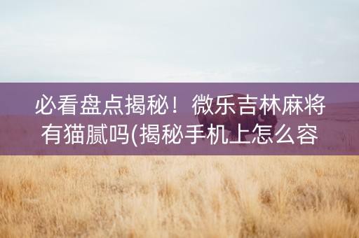 必看盘点揭秘！微乐吉林麻将有猫腻吗(揭秘手机上怎么容易赢)