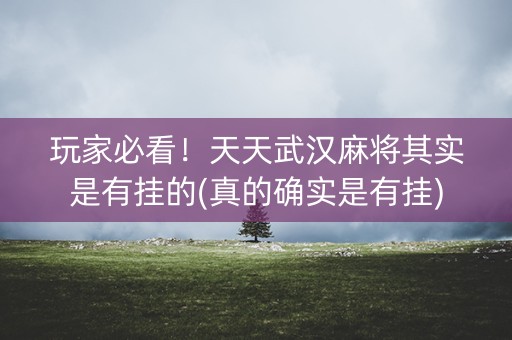 玩家必看！天天武汉麻将其实是有挂的(真的确实是有挂)