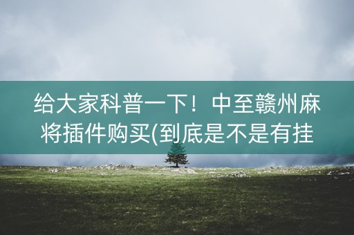 给大家科普一下！中至赣州麻将插件购买(到底是不是有挂)