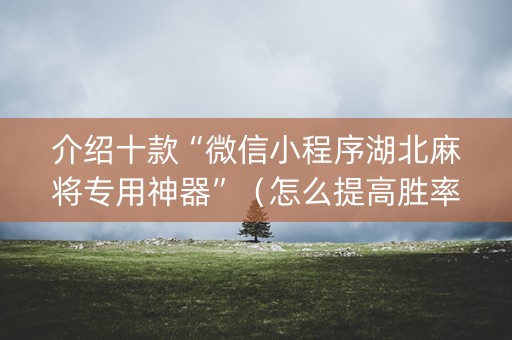 介绍十款“微信小程序湖北麻将专用神器”（怎么提高胜率)