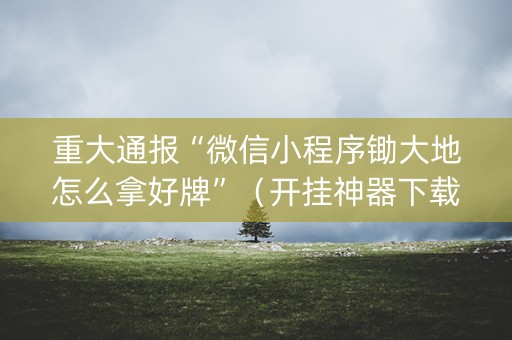 重大通报“微信小程序锄大地怎么拿好牌”（开挂神器下载)