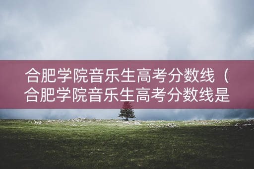 合肥学院音乐生高考分数线（合肥学院音乐生高考分数线是多少）