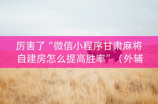 厉害了“微信小程序甘肃麻将自建房怎么提高胜率”（外辅工具)