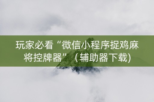 玩家必看“微信小程序捉鸡麻将控牌器”（辅助器下载)