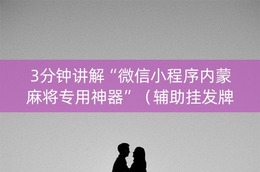 3分钟讲解“微信小程序内蒙麻将专用神器”（辅助挂发牌规律)
