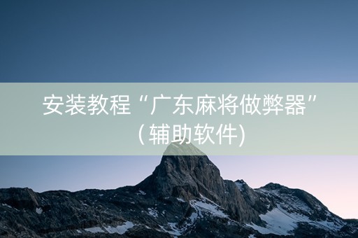 安装教程“广东麻将做弊器”（辅助软件)