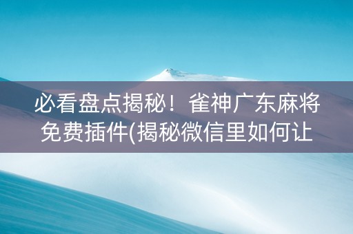 必看盘点揭秘！雀神广东麻将免费插件(揭秘微信里如何让牌变好)