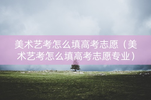 美术艺考怎么填高考志愿（美术艺考怎么填高考志愿专业）