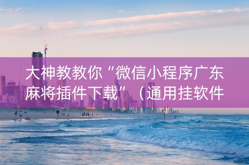 大神教教你“微信小程序广东麻将插件下载”（通用挂软件多少钱)