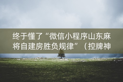 终于懂了“微信小程序山东麻将自建房胜负规律”（控牌神器)