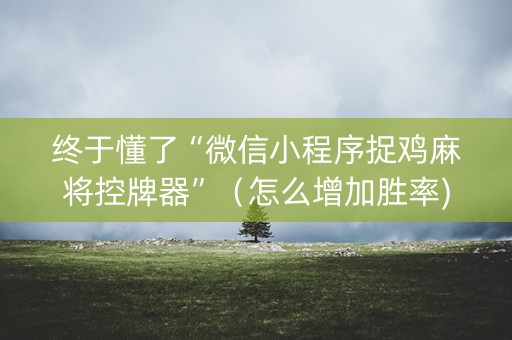 终于懂了“微信小程序捉鸡麻将控牌器”（怎么增加胜率)