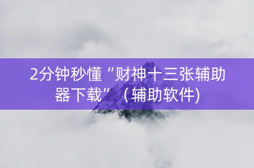 2分钟秒懂“财神十三张辅助器下载”（辅助软件)