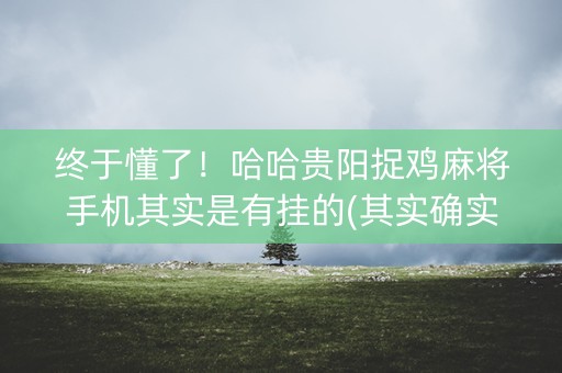 终于懂了！哈哈贵阳捉鸡麻将手机其实是有挂的(其实确实有挂)