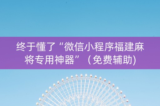 终于懂了“微信小程序福建麻将专用神器”（免费辅助)