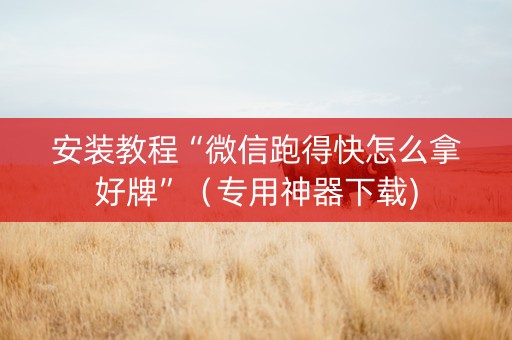 安装教程“微信跑得快怎么拿好牌”（专用神器下载)