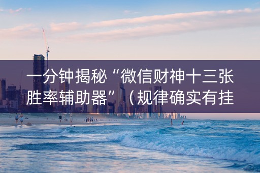 一分钟揭秘“微信财神十三张胜率辅助器”（规律确实有挂)