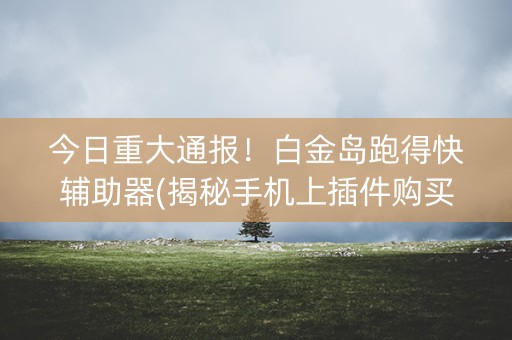 今日重大通报！白金岛跑得快辅助器(揭秘手机上插件购买)