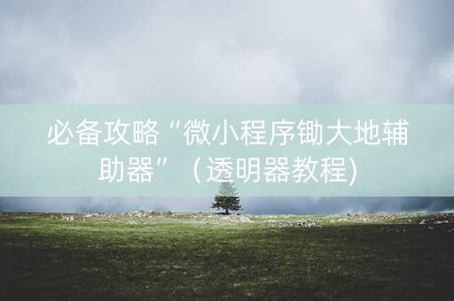 必备攻略“微小程序锄大地辅助器”（透明器教程)