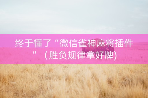 终于懂了“微信雀神麻将插件”（胜负规律拿好牌)