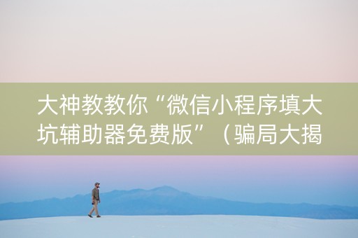 大神教教你“微信小程序填大坑辅助器免费版”（骗局大揭秘)