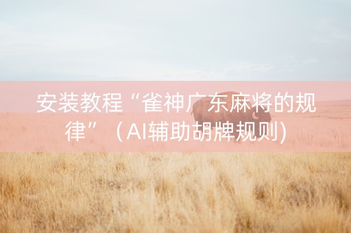 安装教程“雀神广东麻将的规律”（AI辅助胡牌规则)