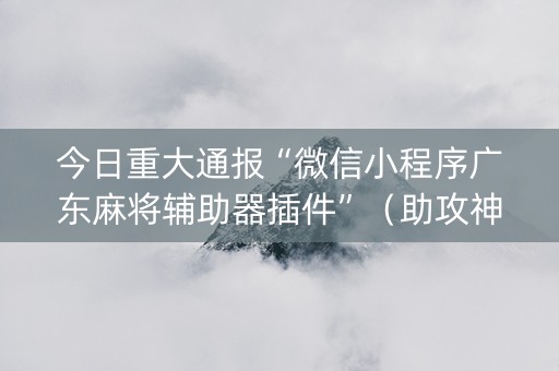 今日重大通报“微信小程序广东麻将辅助器插件”（助攻神器)