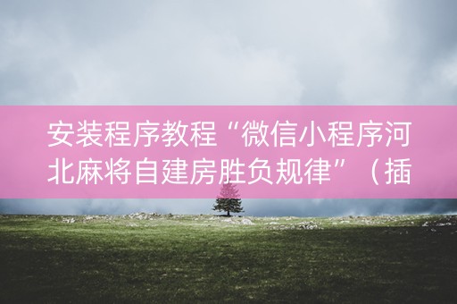 安装程序教程“微信小程序河北麻将自建房胜负规律”（插件开挂免费AI)