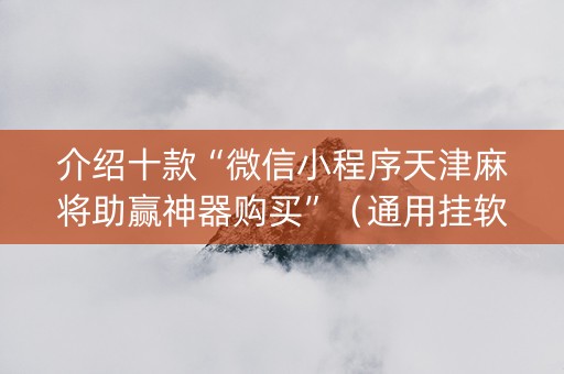 介绍十款“微信小程序天津麻将助赢神器购买”（通用挂软件多少钱)