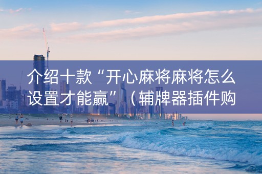 介绍十款“开心麻将麻将怎么设置才能赢”（辅牌器插件购买)