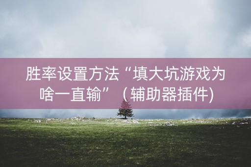 胜率设置方法“填大坑游戏为啥一直输”（辅助器插件)