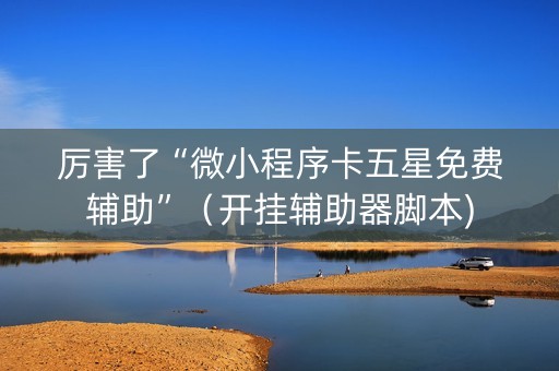 厉害了“微小程序卡五星免费辅助”（开挂辅助器脚本)