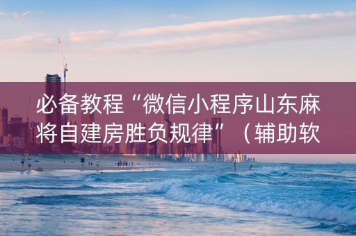 必备教程“微信小程序山东麻将自建房胜负规律”（辅助软件)