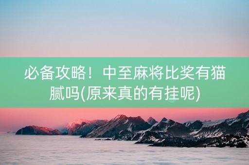 必备攻略！中至麻将比奖有猫腻吗(原来真的有挂呢)