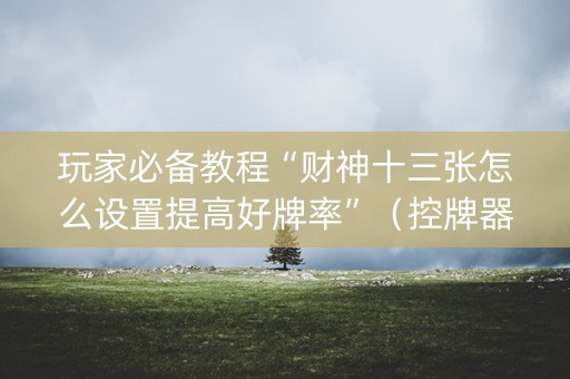 玩家必备教程“财神十三张怎么设置提高好牌率”（控牌器)