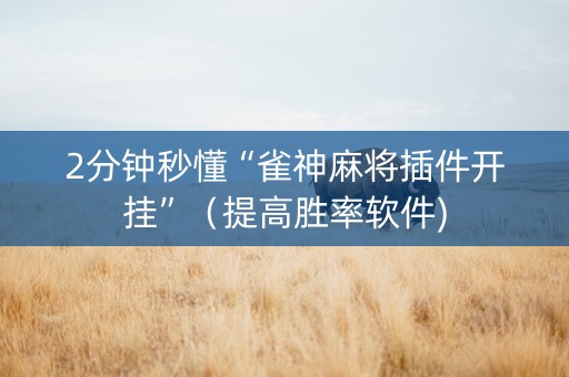 2分钟秒懂“雀神麻将插件开挂”（提高胜率软件)