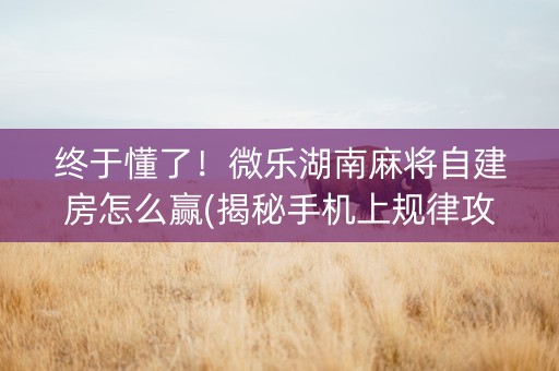 终于懂了！微乐湖南麻将自建房怎么赢(揭秘手机上规律攻略)