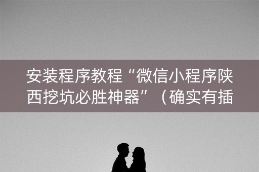 安装程序教程“微信小程序陕西挖坑必胜神器”（确实有插件吗)