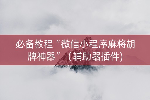 必备教程“微信小程序麻将胡牌神器”（辅助器插件)