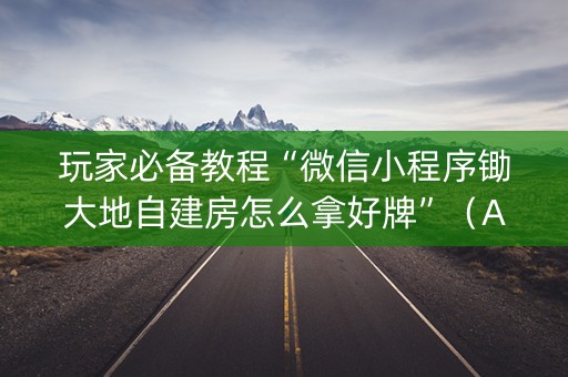 玩家必备教程“微信小程序锄大地自建房怎么拿好牌”（AI辅助胡牌规则)