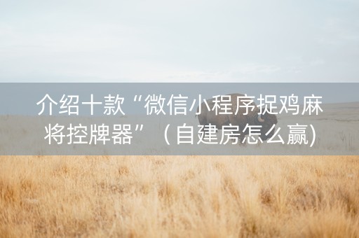 介绍十款“微信小程序捉鸡麻将控牌器”（自建房怎么赢)