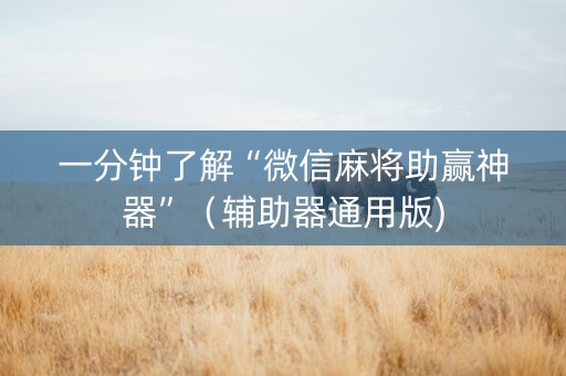 一分钟了解“微信麻将助赢神器”（辅助器通用版)