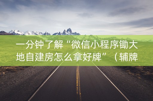 一分钟了解“微信小程序锄大地自建房怎么拿好牌”（辅牌器插件购买)