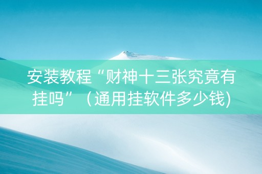 安装教程“财神十三张究竟有挂吗”（通用挂软件多少钱)